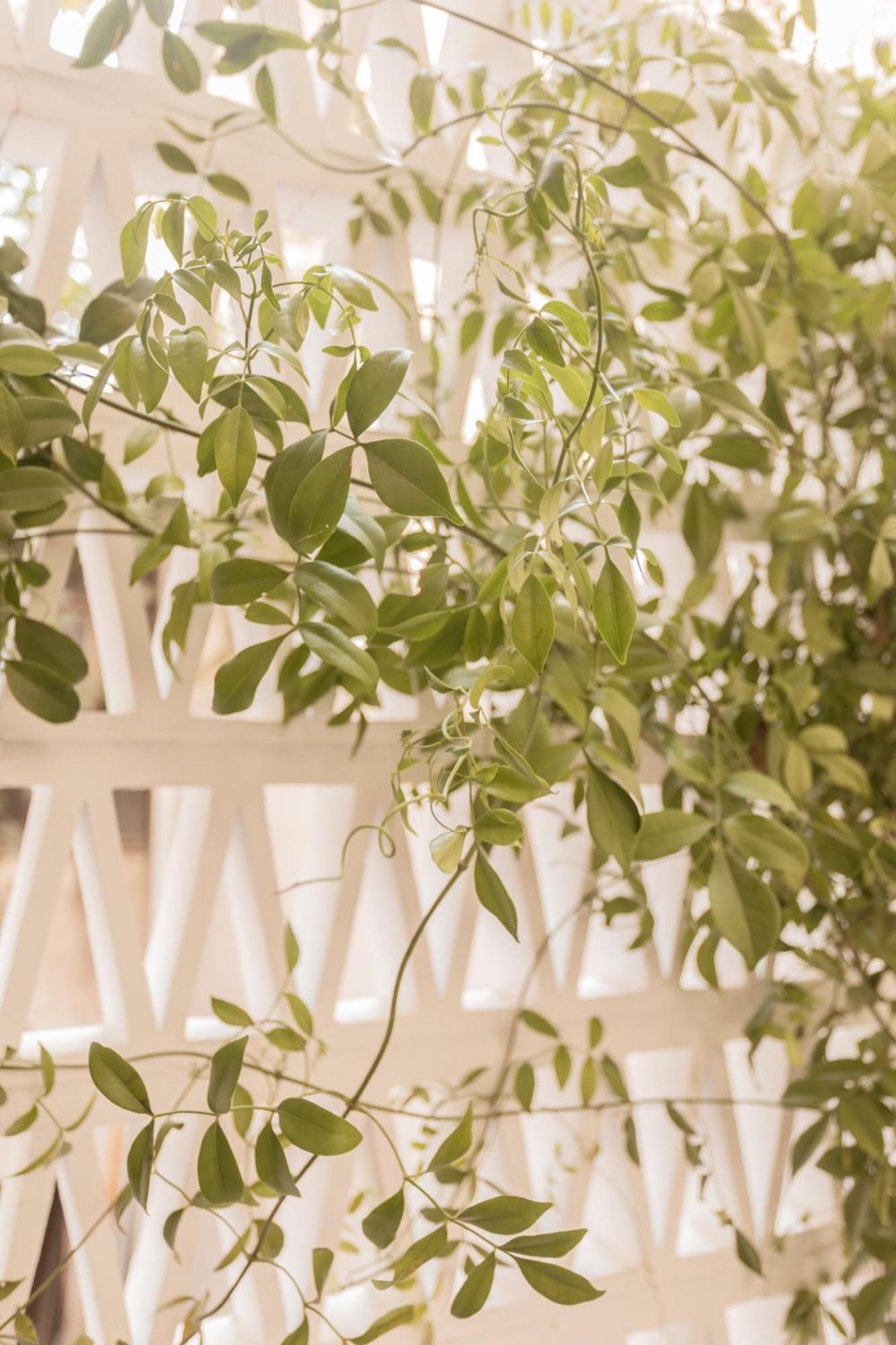 אתונה Elegant Apartment A Breath Away From The Acropolis מראה חיצוני תמונה